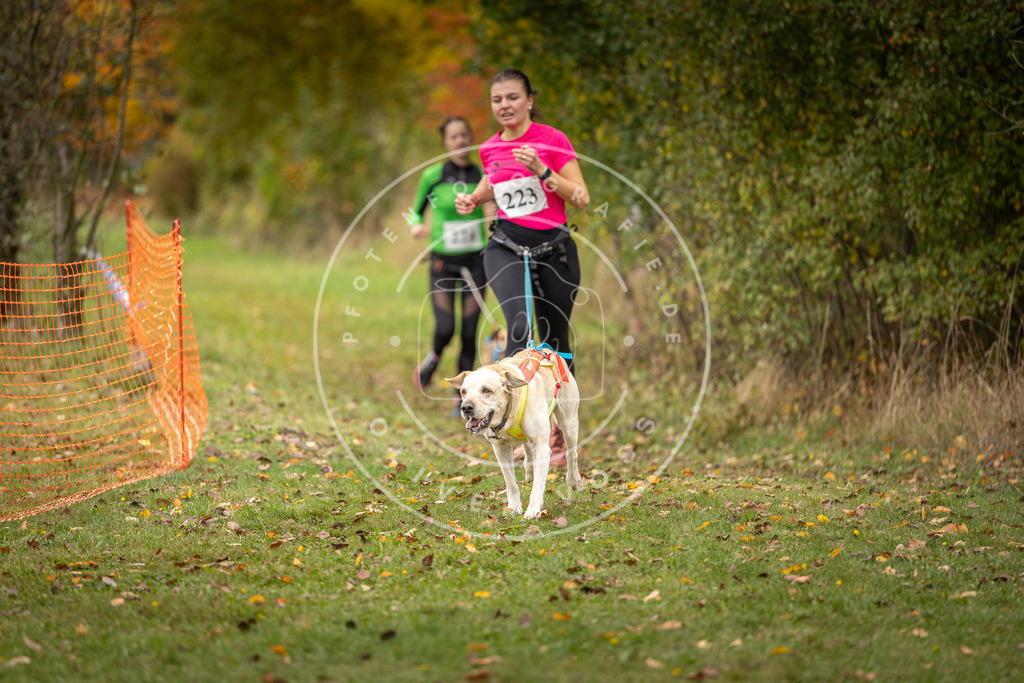 Pfotenfotografie_DV3A4574 | Hundefotografie, Tierfotograf, Pfotenfotografie, Fotoshooting Hund, Hunde Portrait, Hundesport, Hundeportraits, Heideshooting, Hunde, Sportfotograf, Hundefotograf, Turnierhundsport, THS,  - Realisiert mit Pictrs.com