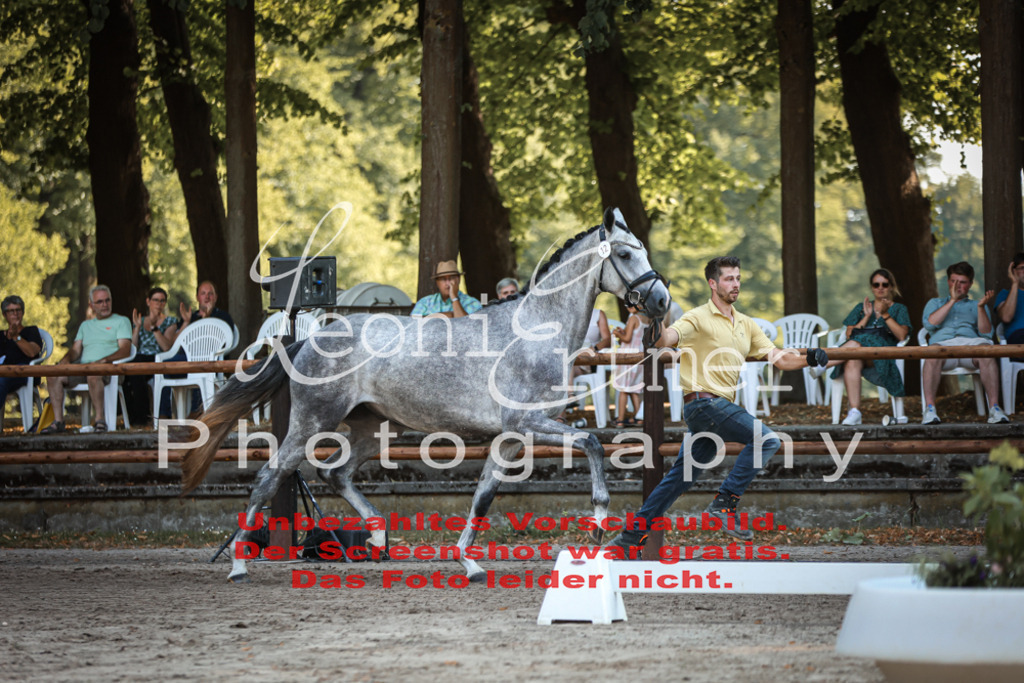 DoER00021 | Leoni Ertmer Photography - Realisiert mit Pictrs.com