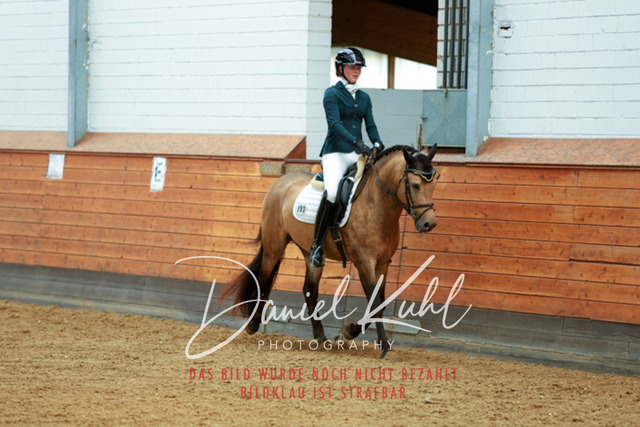 _62_5552 | Turniersportfotografie; Pferdefotografie; Dressurfotografie