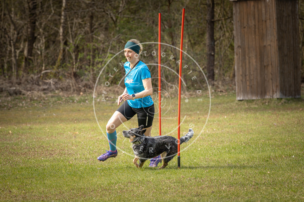 Pfotenfotografie_DV3A7603 | Hundefotografie, Tierfotograf, Pfotenfotografie, Fotoshooting Hund, Hunde Portrait, Hundesport, Hundeportraits, Heideshooting, Hunde, Sportfotograf, Hundefotograf, Turnierhundsport, THS,  - Realisiert mit Pictrs.com