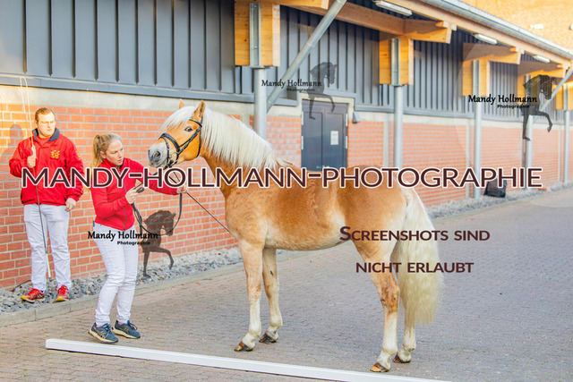KWEP (97 von 702) | mandyhollmannphotographie