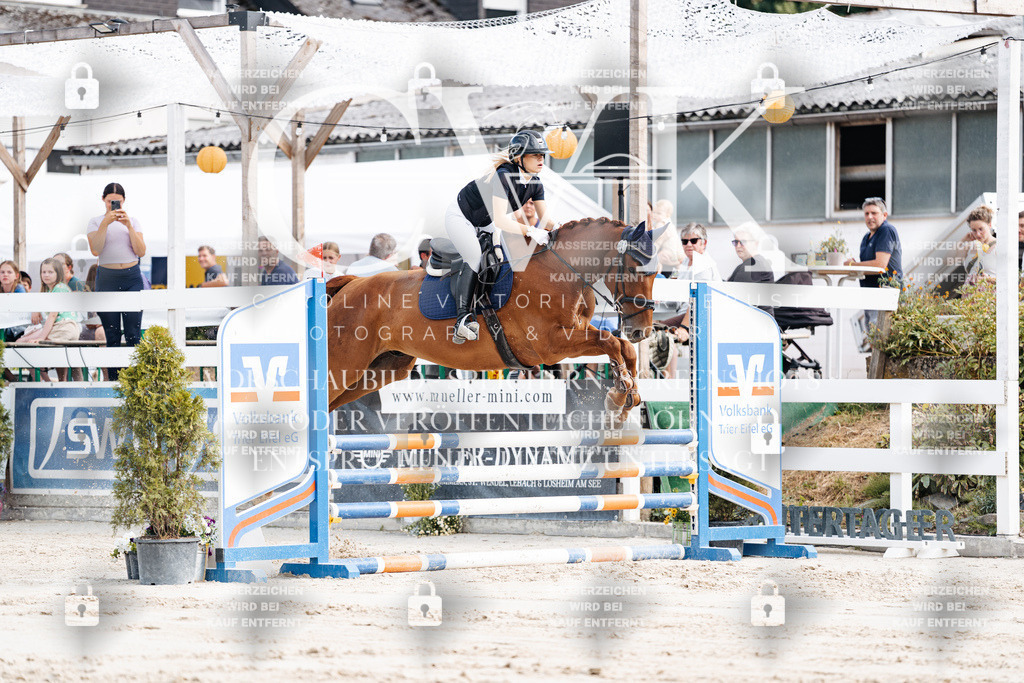 CK909012 | Turnierfotografie Pferdefotografie Trier Rheinland-Pfalz Pferdesport Reitsport Tierfotografie Sportfotografie Pferdevideo Pferdevideografie Equestrianvideography equestrianphotography  - Realisiert mit Pictrs.com