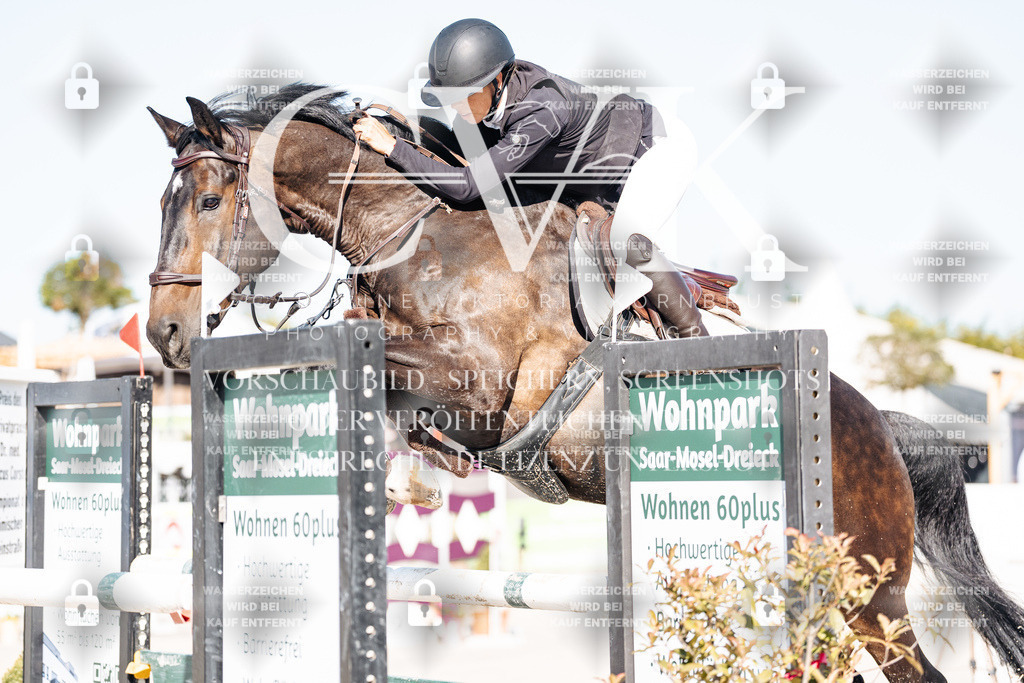 CK904520 | Turnierfotografie Pferdefotografie Trier Rheinland-Pfalz Pferdesport Reitsport Tierfotografie Sportfotografie Pferdevideo Pferdevideografie Equestrianvideography equestrianphotography  - Realisiert mit Pictrs.com
