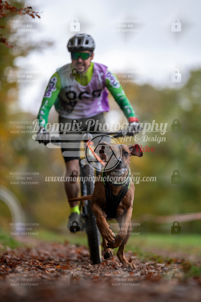 DBT_DAKM_SA_4_11_2023_Bike-51 | PayLife