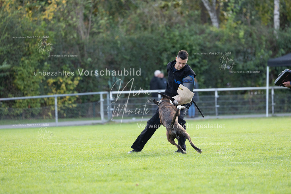 _16A6500 | Einzigartige Fotos von Hunden & Menschen –Actionfotos, Portraits, Vereinsaufnahmen & Paarshootings – authentisch, lebendig & mit Herz.