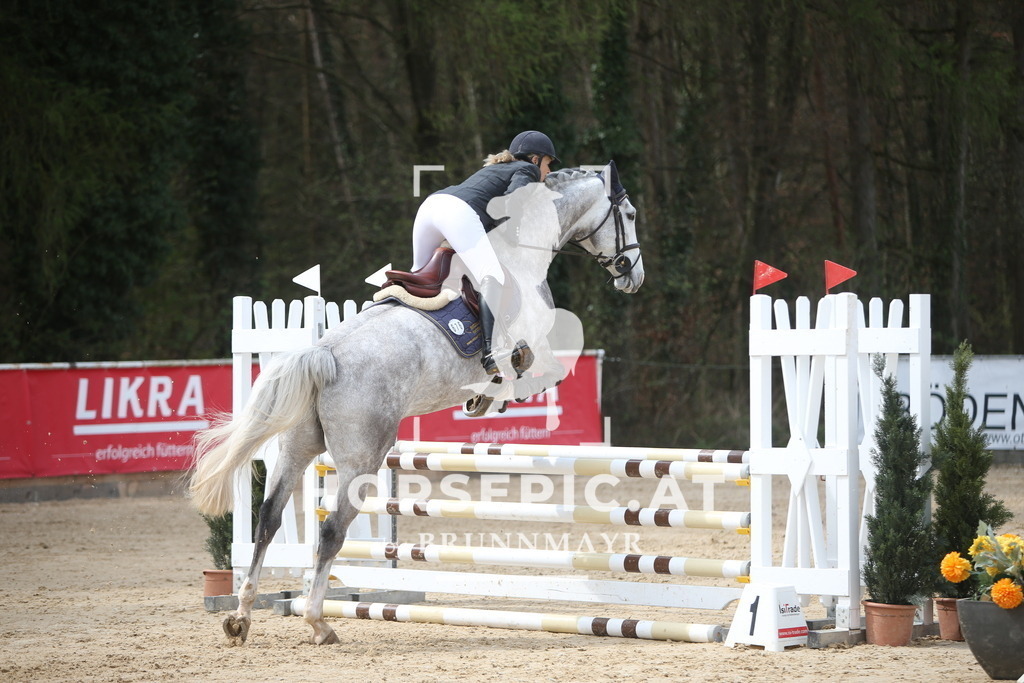 PP017185 | Willkommen bei Brunnmayr - Design & Fotografie – Ihrem Spezialisten für Reitturniere und Pferdeveranstaltungen in Oberösterreich, Salzburg und Bayern! Seit über 17 Jahren sind wir leidenschaftlich dabei.