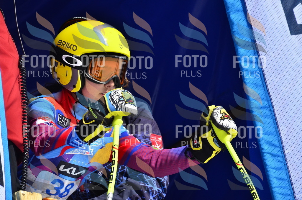 _ELE0036 | holidayphoto