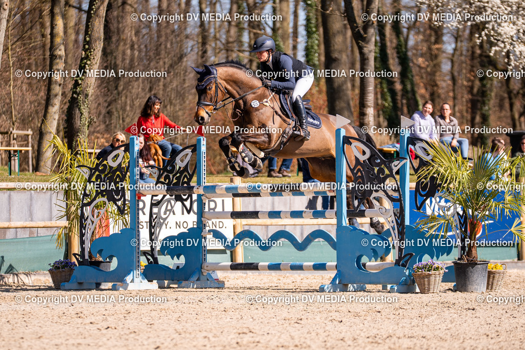 Kranichstein Tag 2-814 | dv-media-shop - Realisiert mit Pictrs.com