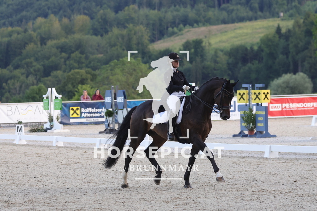 0P6A3791 | Willkommen bei Brunnmayr - Design & Fotografie – Ihrem Spezialisten für Reitturniere und Pferdeveranstaltungen in Oberösterreich, Salzburg und Bayern! Seit über 17 Jahren sind wir leidenschaftlich dabei.