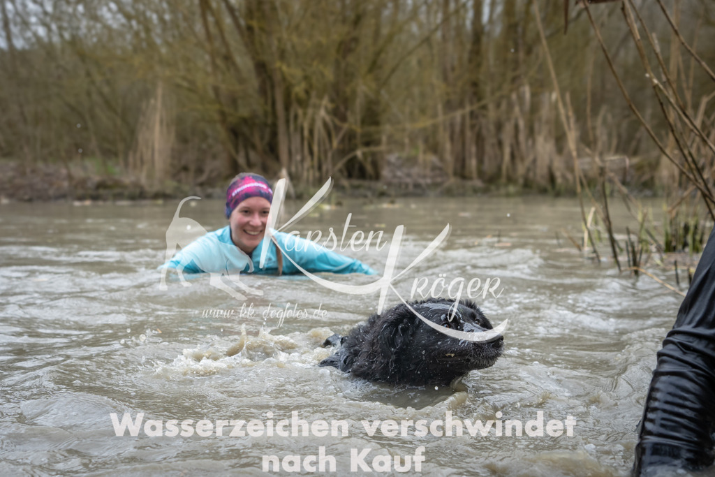 1433_ZZ99705 | kk-dogfotos
