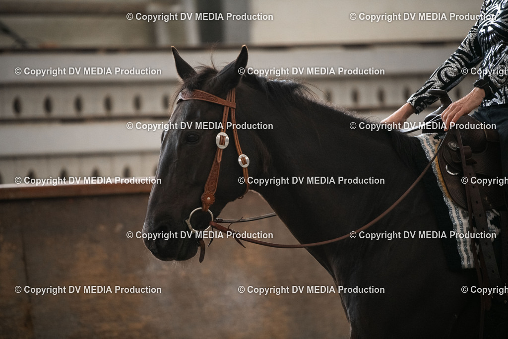 Heiligenwald Tag 1-270 | dv-media-shop - Realisiert mit Pictrs.com