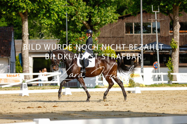 _62_2319 | larahueckfotografie