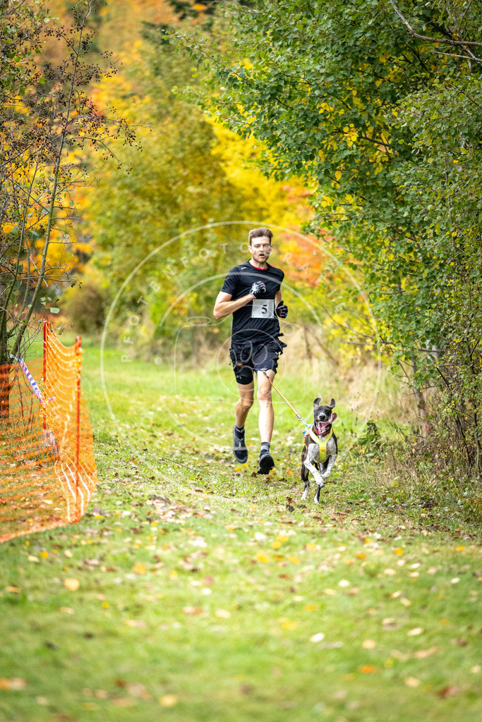 Pfotenfotografie_DV3A1634 | Hundefotografie, Tierfotograf, Pfotenfotografie, Fotoshooting Hund, Hunde Portrait, Hundesport, Hundeportraits, Heideshooting, Hunde, Sportfotograf, Hundefotograf, Turnierhundsport, THS,  - Realisiert mit Pictrs.com