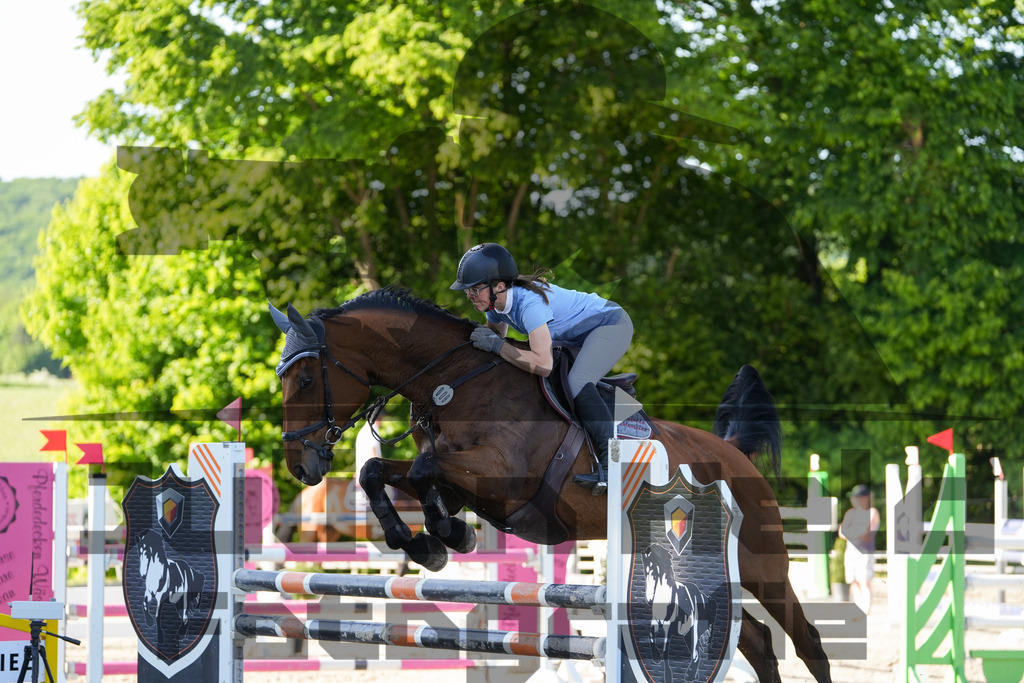 DSC02516 | Julian Held Fotografie - Realisiert mit Pictrs.com