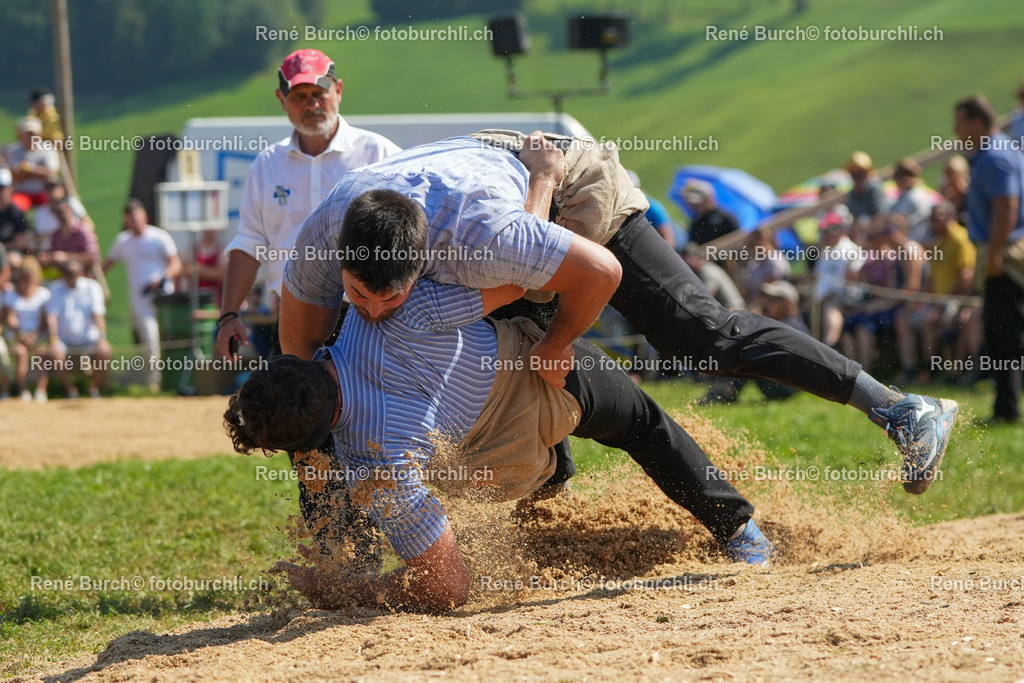 RB_08727 | René Burch leidenschaftlicher Fotograf aus Kerns in Obwalden.  Hier finden sie Sport, Landschaft und Natur Fotografie.
 - Realisiert mit Pictrs.com