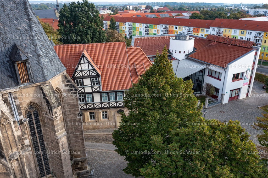 10049-51757 - Dom und Gleimhaus in Halberstadt | Stockfoto und Bilderpool mit Bildmaterial aus Deutschland, dem Harz, Halberstadt, Quedlinburg, Wernigerode und weltweit. Qualitativ hochwertige und professionelle Fotos anschauen und kaufen. - Realisiert mit Pictrs.com