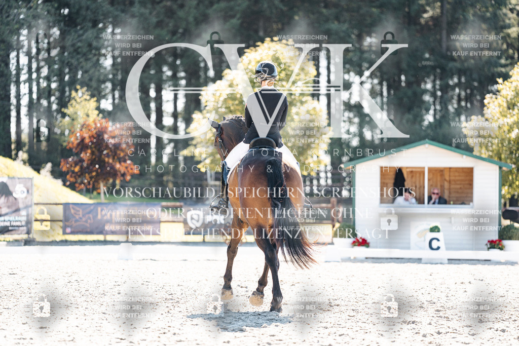 CK905688 | Turnierfotografie Pferdefotografie Trier Rheinland-Pfalz Pferdesport Reitsport Tierfotografie Sportfotografie Pferdevideo Pferdevideografie Equestrianvideography equestrianphotography  - Realisiert mit Pictrs.com
