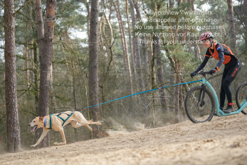 Scooter2-12 | stephaniefillaphotographie - Realisiert mit Pictrs.com