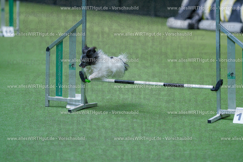 @allesWIRTHgut_Tierfotografie - www.allesWIRTHgut.de - 2604261444-7R503545 | Professionelle Tierfotografie in Mönchengladbach von Daniel Wirth (allesWIRTHgut). Liebevolle & natürliche Bilder von Hunden & Katzen für unvergessliche Erinnerungen.