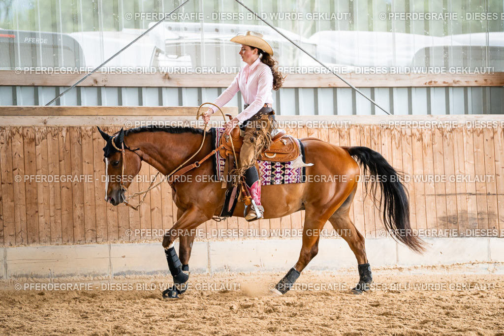 DSC00632 | Pferdegrafie