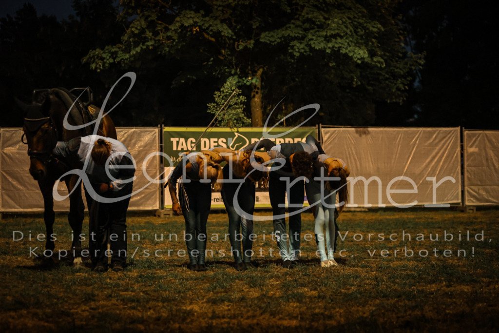 SaShow00341 | Leoni Ertmer Photography - Realisiert mit Pictrs.com