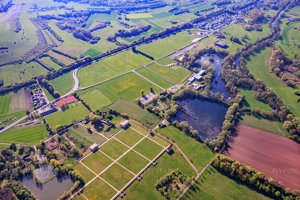Luftbild: Europäischer Kulturpark Bliesbruck-Reinheim mit Gallo-römische Villa von Reinheim im Ortsteil Reinheim in Gersheim im Bundesland Saarland in Deutschland.Foto: IMG_154510.jpg vom 18.04.2026 durch Werner Riehm/FLY-FOTO.deAuflösung des Originals: 6000 x 4000 pxMOSELLE-CULTURE.FR