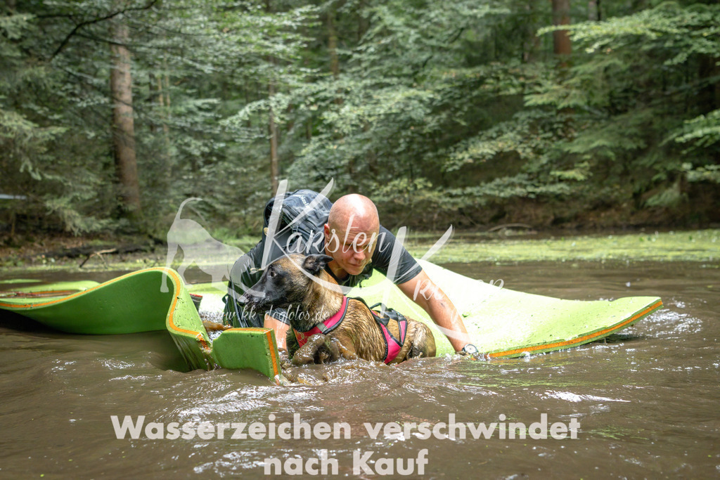 1541_ZZ91866-Bearbeitet | kk-dogfotos