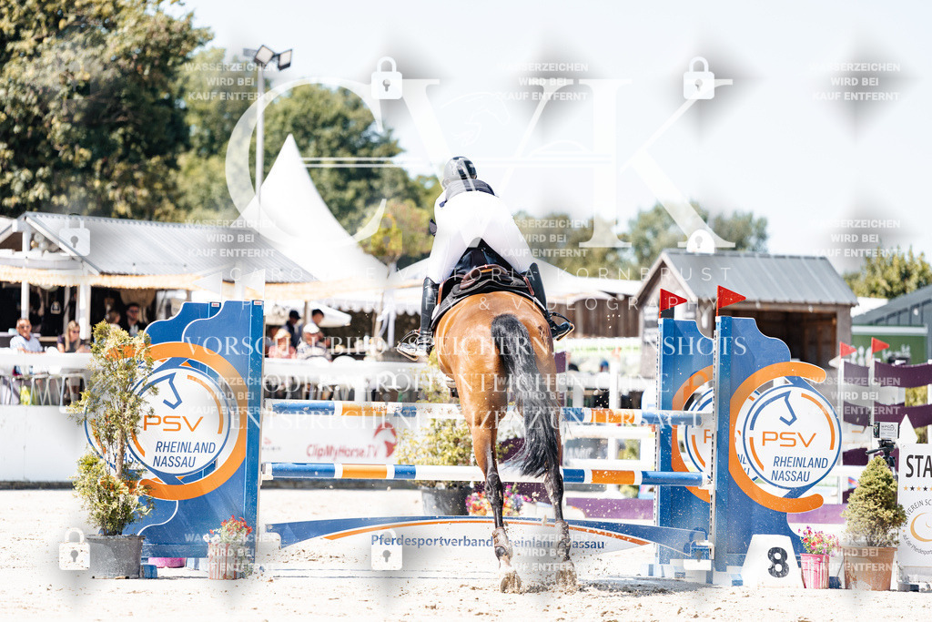 CK909627 | Turnierfotografie Pferdefotografie Trier Rheinland-Pfalz Pferdesport Reitsport Tierfotografie Sportfotografie Pferdevideo Pferdevideografie Equestrianvideography equestrianphotography  - Realisiert mit Pictrs.com