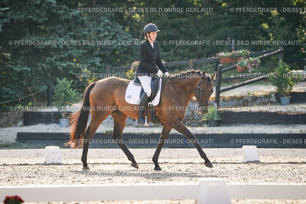 DSC08422 | Pferdegrafie