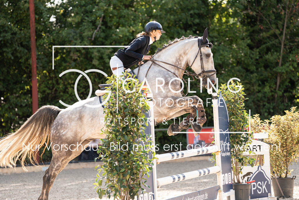 DSC02036 | Carolin Gieschke