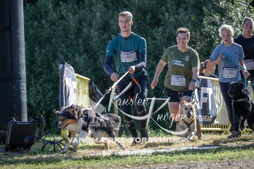 0959_ZZ97610 | kk-dogfotos