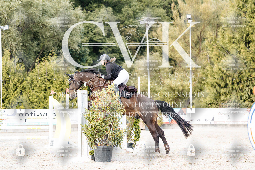 CK903693 | Turnierfotografie Pferdefotografie Trier Rheinland-Pfalz Pferdesport Reitsport Tierfotografie Sportfotografie Pferdevideo Pferdevideografie Equestrianvideography equestrianphotography  - Realisiert mit Pictrs.com