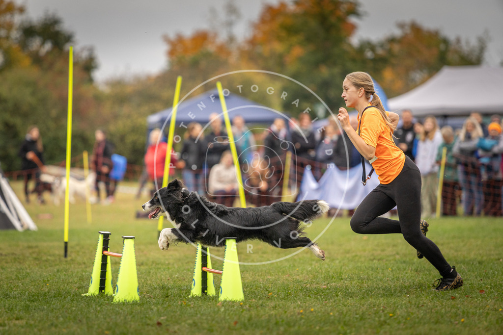 Pfotenfotografie_DV3A6580 | Hundefotografie, Tierfotograf, Pfotenfotografie, Fotoshooting Hund, Hunde Portrait, Hundesport, Hundeportraits, Heideshooting, Hunde, Sportfotograf, Hundefotograf, Turnierhundsport, THS,  - Realisiert mit Pictrs.com