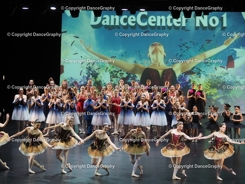 P7260483 | DanceGraphy - Realisiert mit Pictrs.com