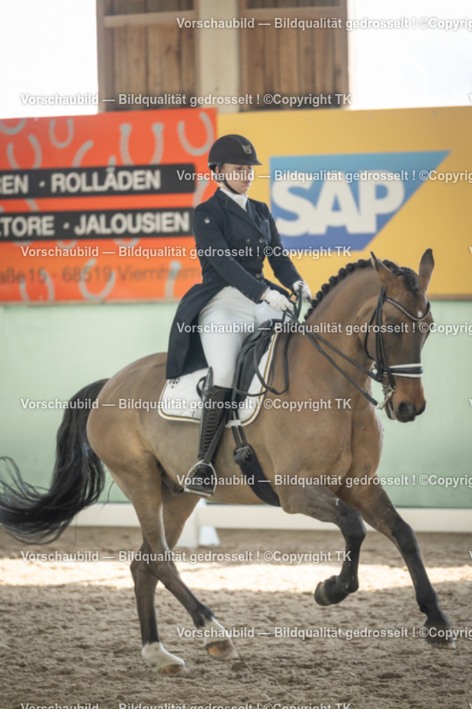 _D5A2316 | Emotionale Pferde- & People-Fotografie rund um Heidelberg, Leimen & Umgebung. Natürliche Fotos von Pferd, Mensch & Familie. Jetzt Termin sichern!