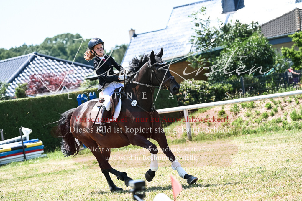 DSC_0354 | Pferde- und Turnierfotografie in Westsachsen. Pferdeportraits, Auftragszeichnungen und intuitive Kunst.
