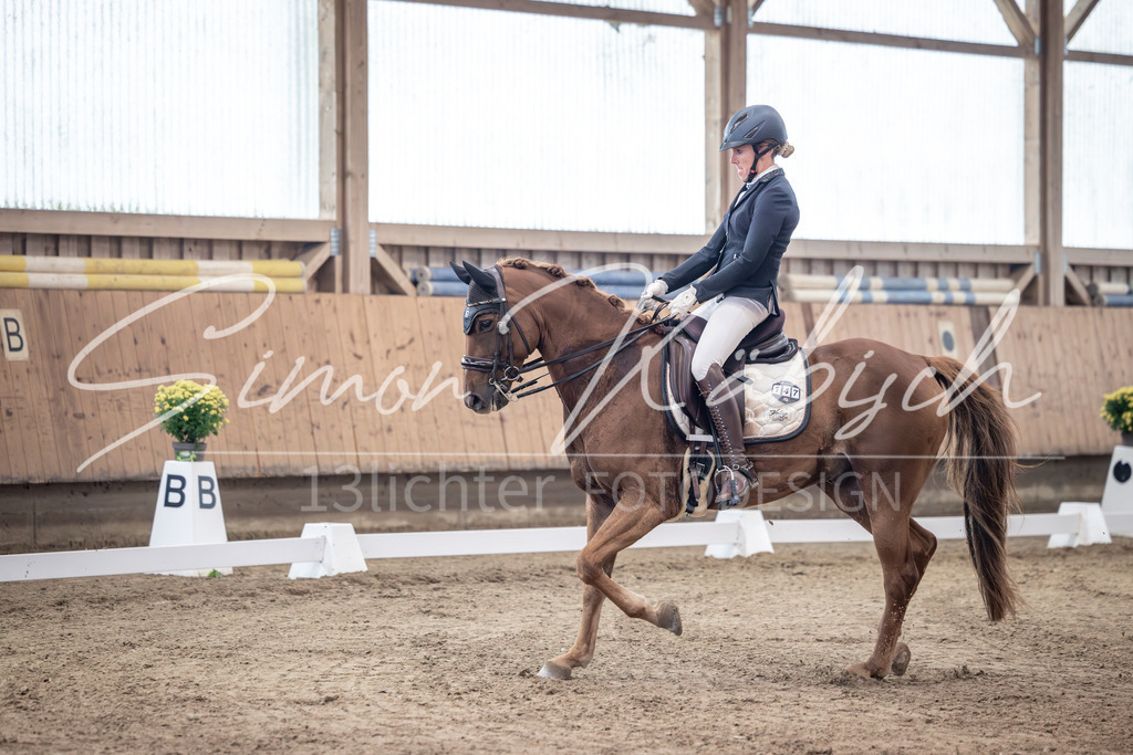 20251011-_3LI0991 | Tierfotografie Pferde, Hunde, Katzen, Haustiere.
Turnierfotografie Reitturniere, Reiten, Springreiten, Dressur in Hanau, dem Main-Kinzig-Kreis und dem Rhein-Main- Gebiet um Frankfurt