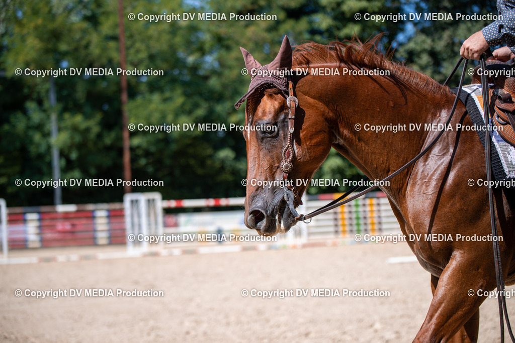 ZS1_1579 | dv-media-shop - Realisiert mit Pictrs.com