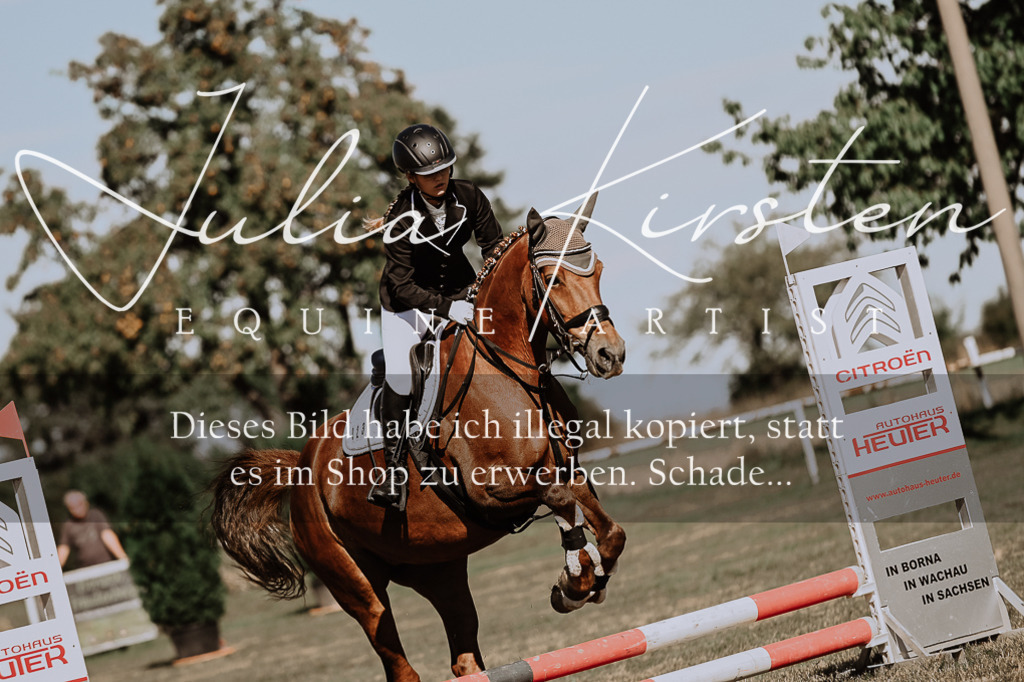 DSC_9366 | Pferde- und Turnierfotografie in Westsachsen. Pferdeportraits, Auftragszeichnungen und intuitive Kunst.