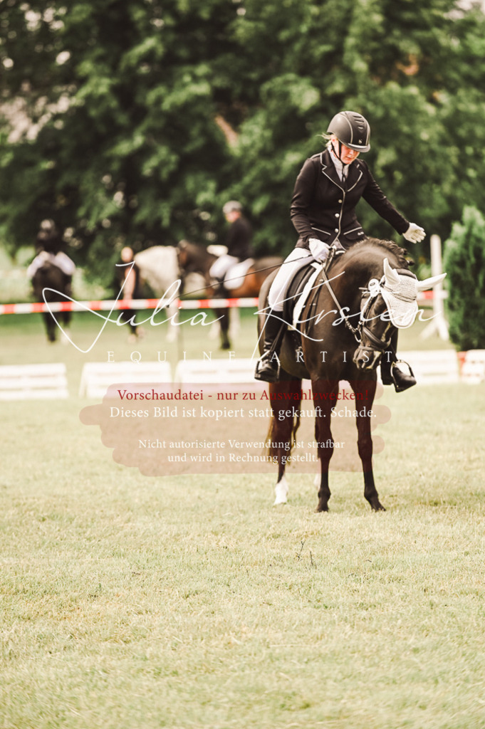 DSC_4870 | Pferde- und Turnierfotografie in Westsachsen. Pferdeportraits, Auftragszeichnungen und intuitive Kunst.