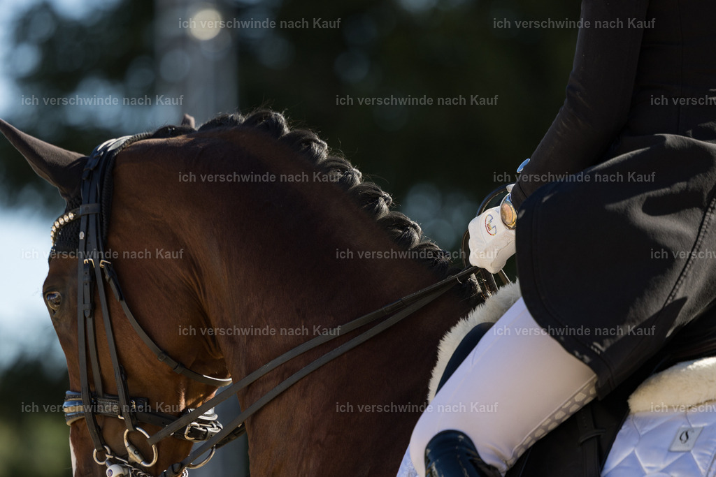 FHC2026_P07_80_17344 | working equitationturnier fotograf videograf stoibphotography marixx film working equitation deutschland reitsport turnierfotografie eventfotografie equestrian events