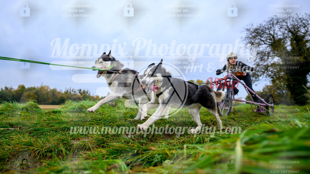 MompixPhotography_CDLBDB2025_DI_Kart-22 | PayLife
