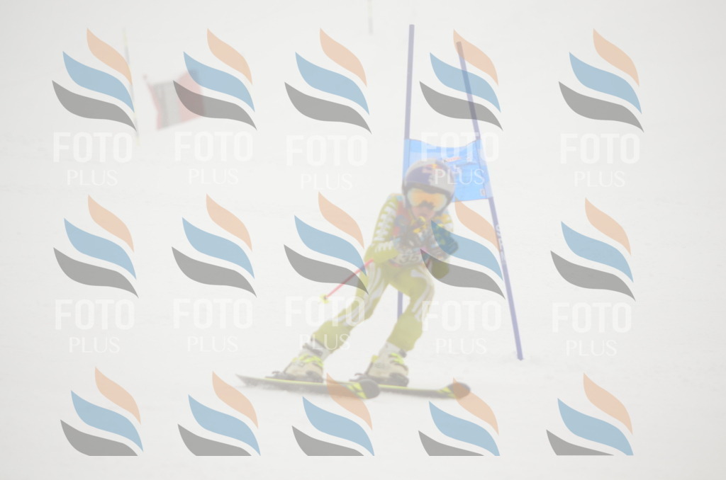 C1665 | holidayphoto