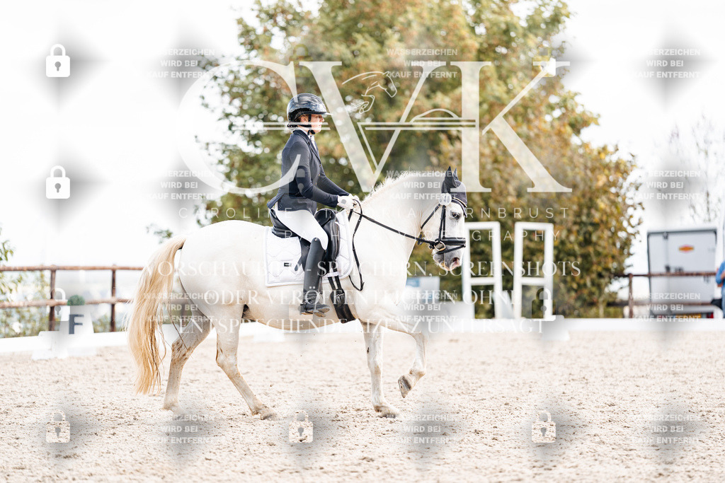 CK901562 | Turnierfotografie Pferdefotografie Trier Rheinland-Pfalz Pferdesport Reitsport Tierfotografie Sportfotografie Pferdevideo Pferdevideografie Equestrianvideography equestrianphotography  - Realisiert mit Pictrs.com