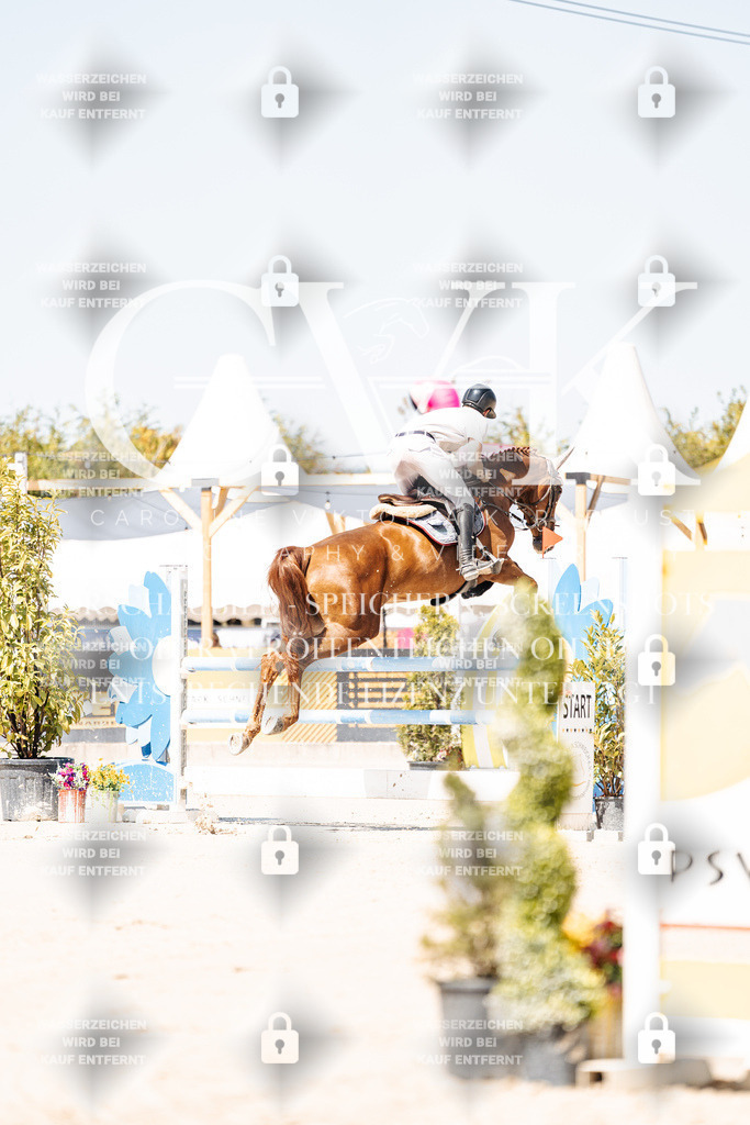 CK909399 | Turnierfotografie Pferdefotografie Trier Rheinland-Pfalz Pferdesport Reitsport Tierfotografie Sportfotografie Pferdevideo Pferdevideografie Equestrianvideography equestrianphotography  - Realisiert mit Pictrs.com