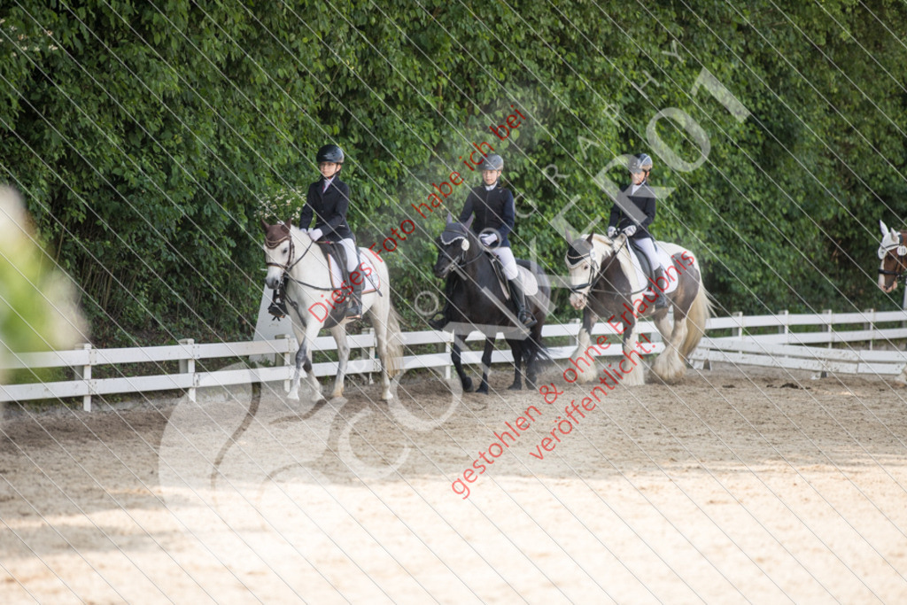 IMG_3225 | Sport-, Event- und Tierfotos in Profiqualität. Einfach auswählen, bestellen und herunterladen. Dein Moment – perfekt festgehalten.