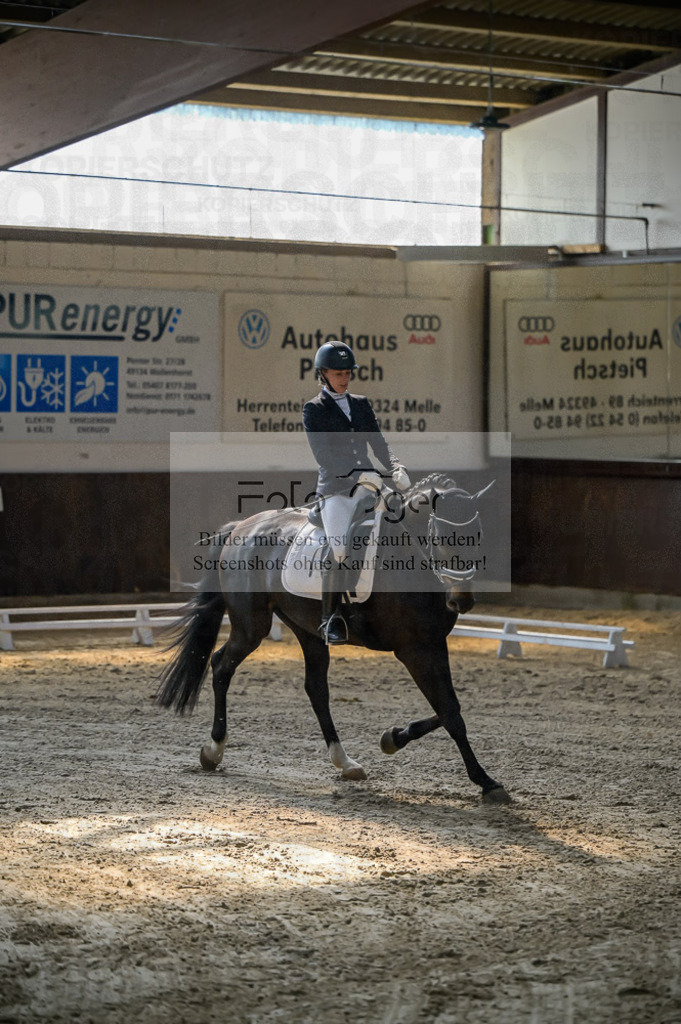 Reitturnier Voxtrup | Entdecke hochwertige Reitturnierfotos von Foto Oger. Professionell, emotional und authentisch – jetzt Lieblingsmomente im Shop bestellen.Deutschlandweite Turnierfotografie. - Realisiert mit Pictrs.com