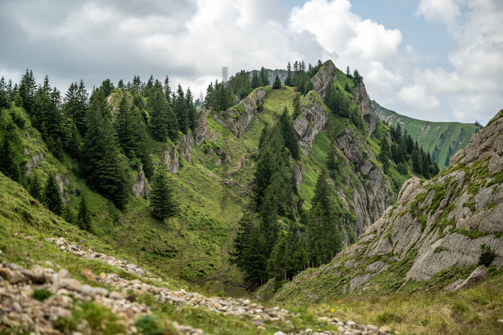 35. Gebirgsmarathon | 35. Gebirgsmarathon 2024 am 03.08.2024 in Immenstadt. Einer der anspruchsvollsten​und ältesten Bergläufe​Deutschlands im Naturpark Nagelfluhkette!(Foto: Dominik Berchtold/www.dberchtold.com)Instagram: @d_berchtold_foto 