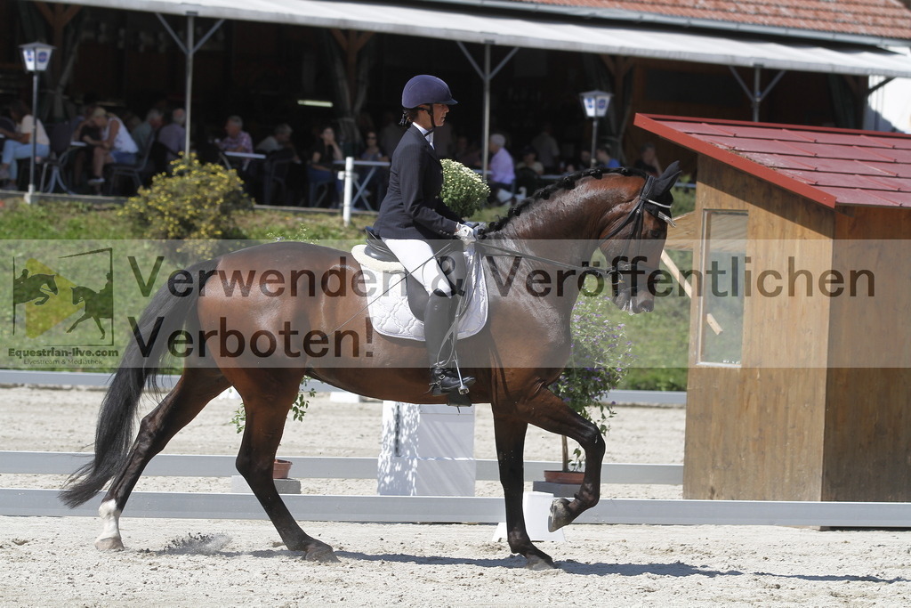 _MG_0022 | equestrian-live-com