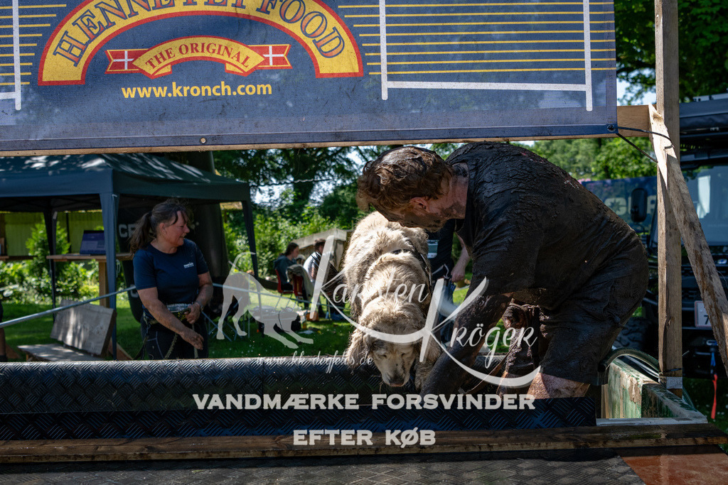 1251_ZZ90076 | kk-dogfotos